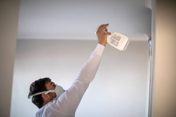Best Crawl Space Mold Removal  in Wye, MT